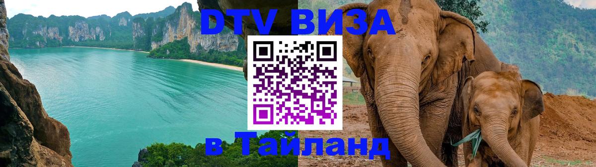 Как сделать DTV визу в Тайланд 